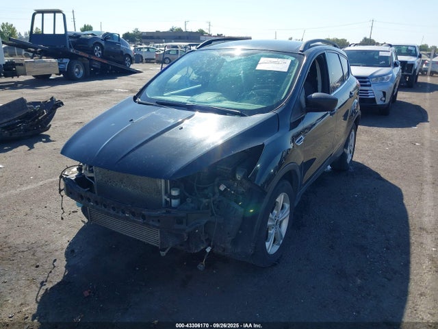 1FMCU9G94FUA82404 Ford Escape