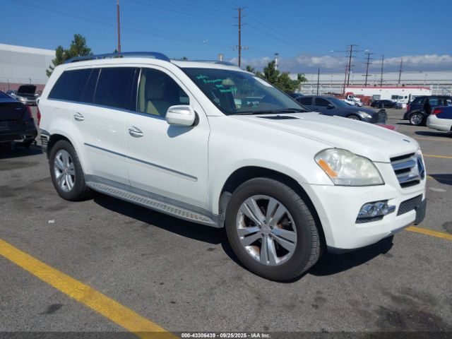 2010 MERCEDES-BENZ GL 450 4JGBF7BE0AA589096
