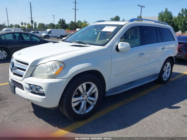 2010 MERCEDES-BENZ GL 450 4JGBF7BE0AA589096 Photo 1