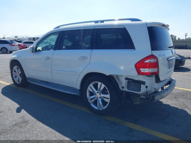 2010 MERCEDES-BENZ GL 450 4JGBF7BE0AA589096 Photo 2