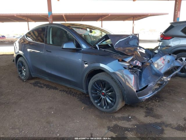 2023 TESLA MODEL Y 7SAYGDED3PF944424
