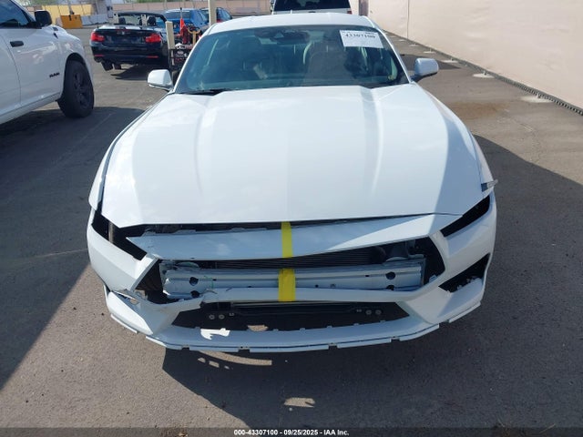 Ford 4v 2025 1FA6P8TH4S5122331 Image 6