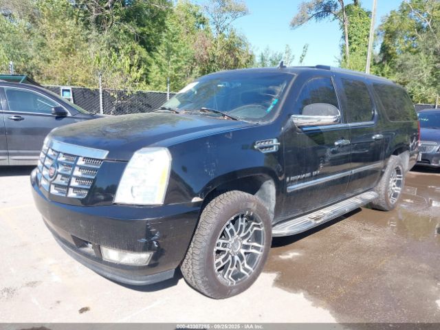 2007 CADILLAC ESCALADE ESV 1GYFK66827R241448 Photo 1