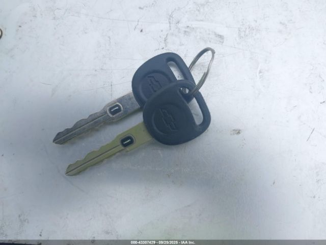 1999 CHEVROLET CORVETTE 1G1YY12G9X5126813 Photo 10