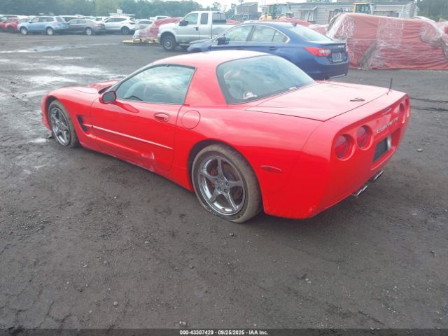 1999 CHEVROLET CORVETTE 1G1YY12G9X5126813 Photo 2