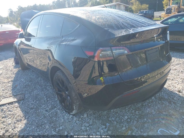 2023 TESLA MODEL Y 7SAYGDEE1PA161365 Photo 2