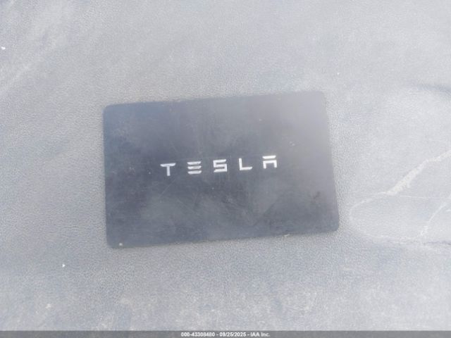 2021 TESLA MODEL 3 5YJ3E1EB4MF079484 Photo 10