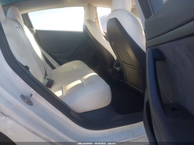 2021 TESLA MODEL 3 5YJ3E1EB4MF079484 Photo 7