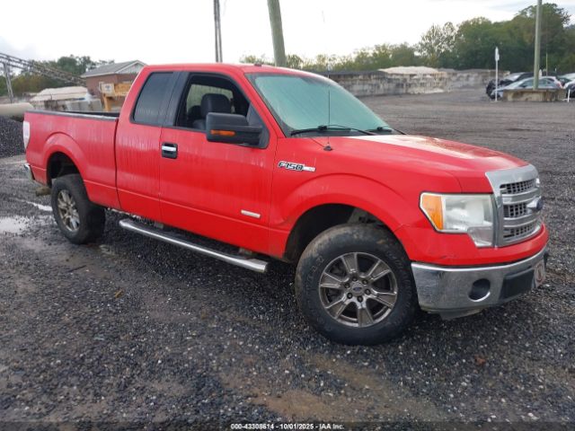 2013 FORD F-150 1FTFX1CT1DFC10191