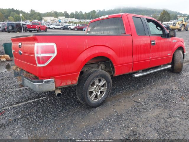 2013 FORD F-150 1FTFX1CT1DFC10191 Photo 3