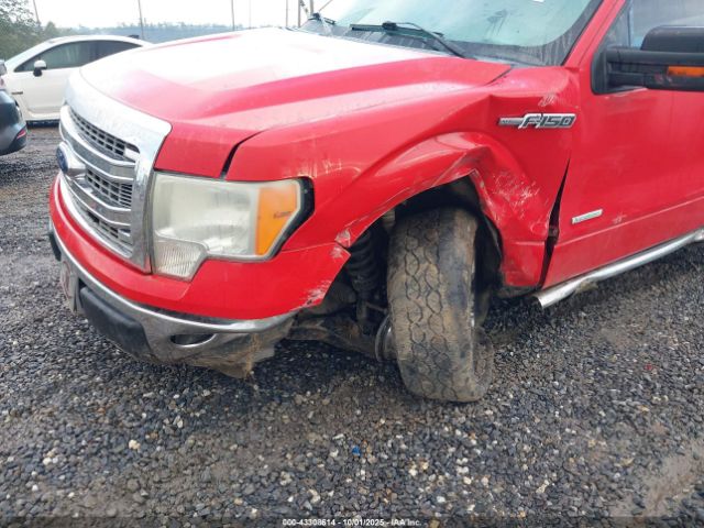 2013 FORD F-150 1FTFX1CT1DFC10191 Photo 5