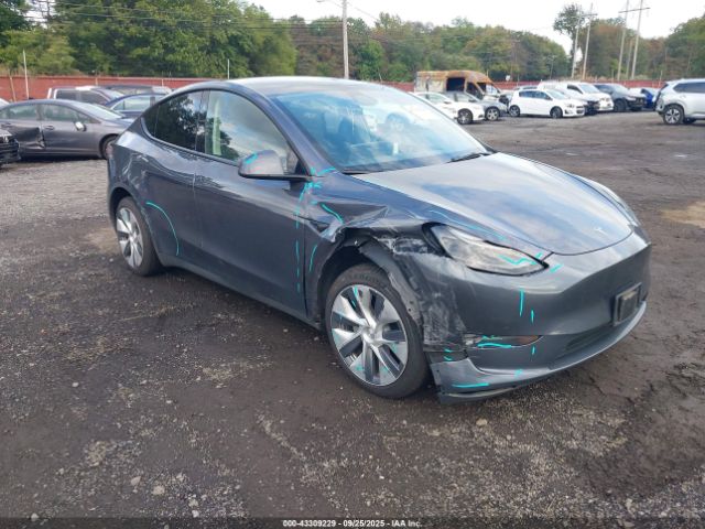 2023 TESLA MODEL Y 7SAYGDEE8PF893611 Photo 0