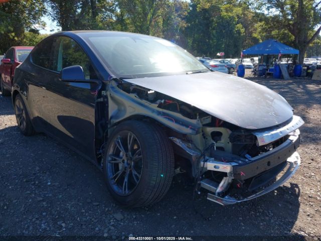 2024 TESLA MODEL Y 7SAYGDEE7RA333725 Photo 0