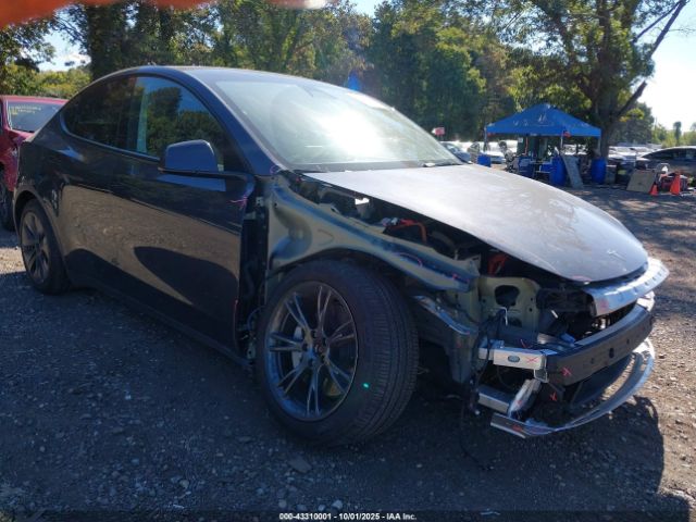 2024 TESLA MODEL Y 7SAYGDEE7RA333725 Photo 5