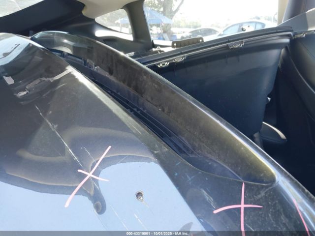 2024 TESLA MODEL Y 7SAYGDEE7RA333725 Photo 7