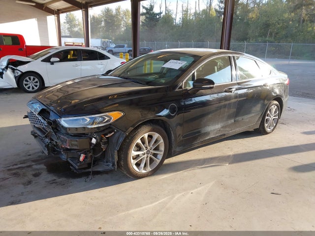 Ford 2019 2019 3FA6P0SU3KR176295 Image 2