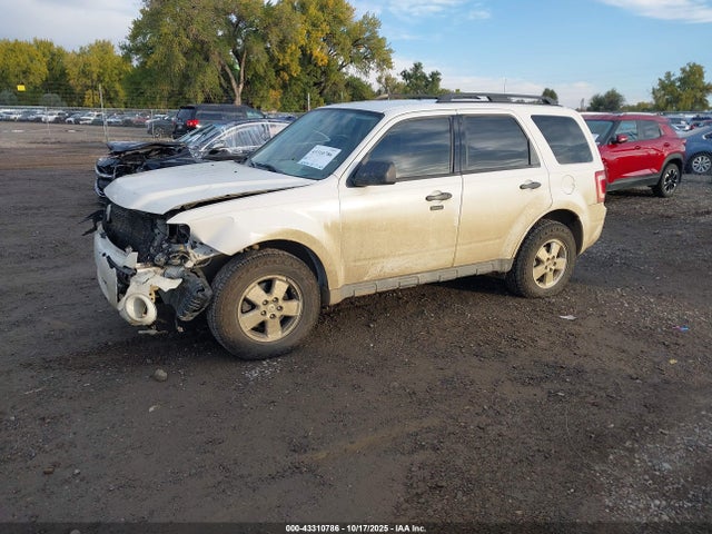 Продаж на аукціоні авто 2011 Ford Escape Xlt, vin: 1FMCU9D74BKB92586, номер лоту: 43310786