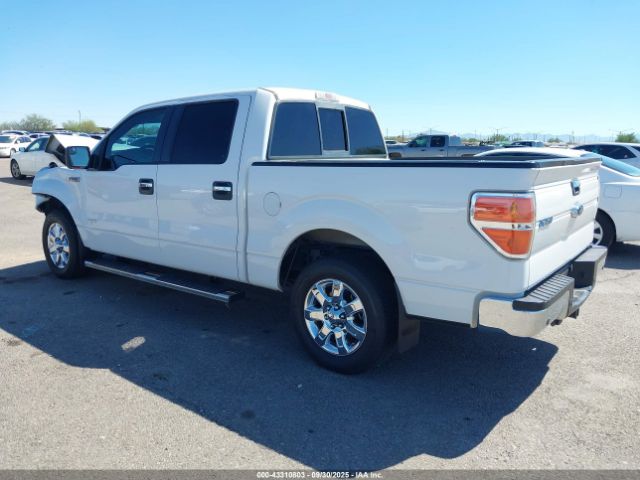 2013 FORD F-150 1FTFW1CT2DKD26820 Photo 2