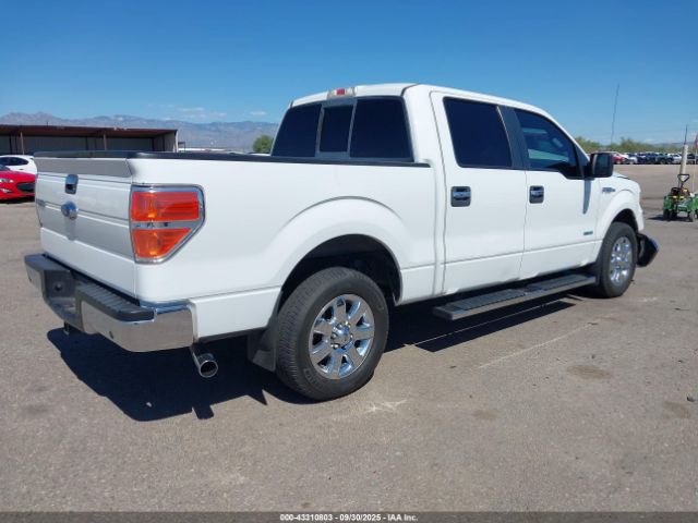 2013 FORD F-150 1FTFW1CT2DKD26820 Photo 3