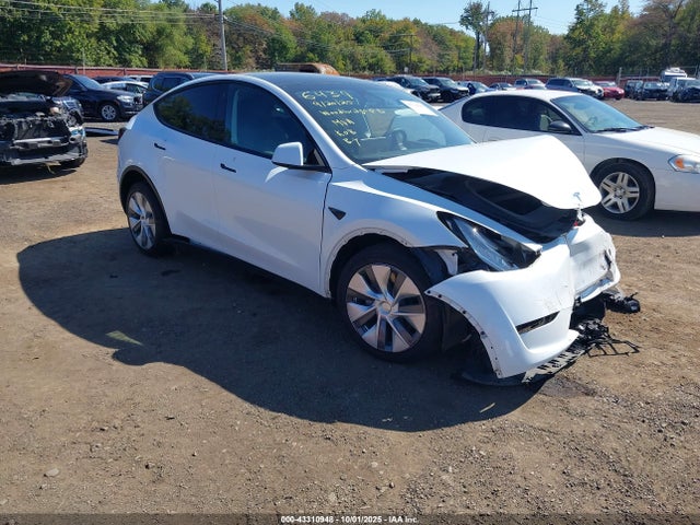 2023 TESLA MODEL Y 7SAYGDEE7PA096439 Photo 0