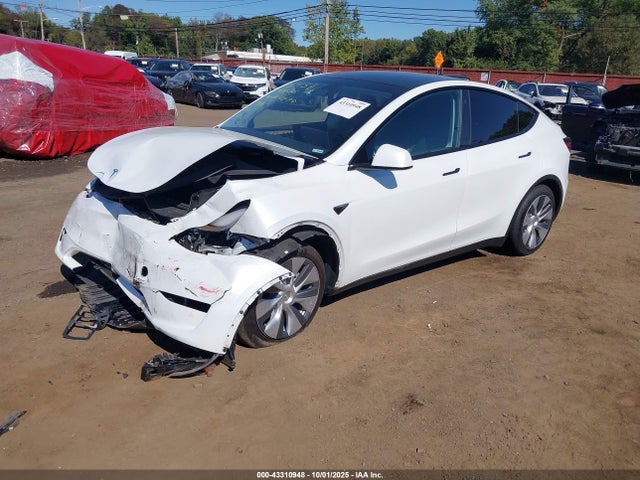 2023 TESLA MODEL Y 7SAYGDEE7PA096439 Photo 1