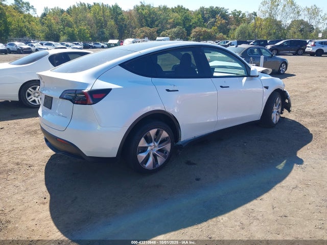 2023 TESLA MODEL Y 7SAYGDEE7PA096439 Photo 3