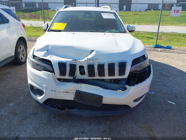 Jeep 2019 2019 1C4PJLLB8KD204115 Image 12
