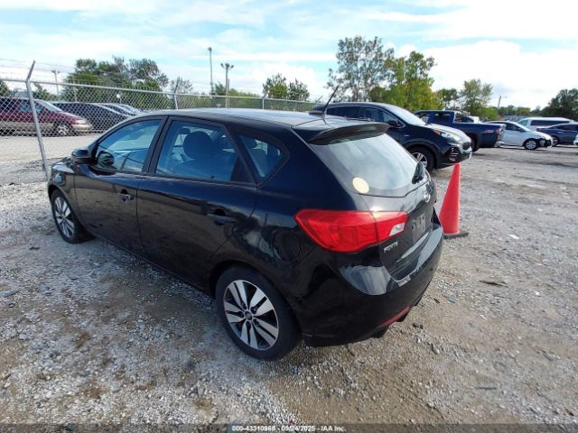 2013 KIA FORTE KNAFU5A27D5684482 Photo 2