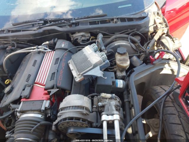 1996 CHEVROLET CORVETTE 1G1YY2251T5103119 Photo 9