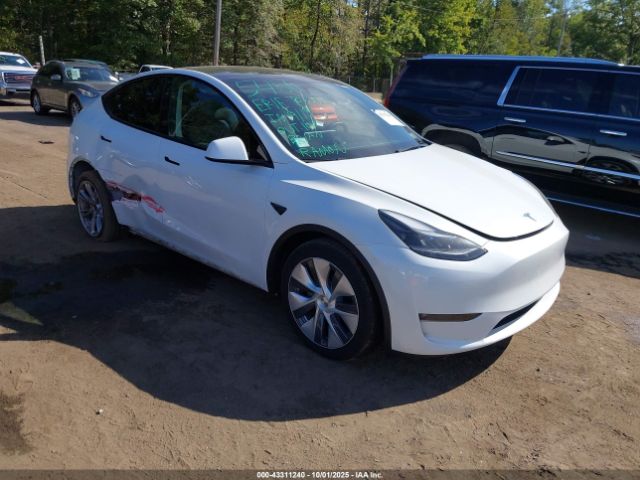2023 TESLA MODEL Y 7SAYGAEE0PF853618 Photo 0