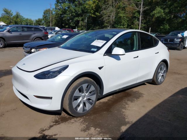 2023 TESLA MODEL Y 7SAYGAEE0PF853618 Photo 1