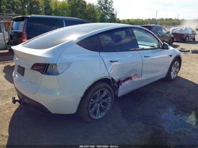 2023 TESLA MODEL Y 7SAYGAEE0PF853618 Photo 3