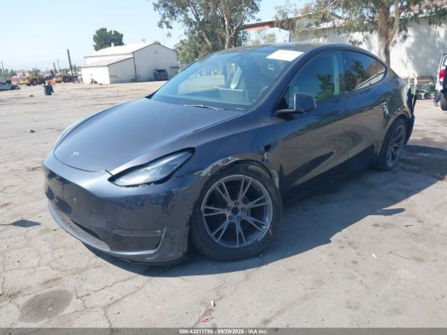 2025 TESLA MODEL Y 7SAYGDEE7SF259263 Photo 1