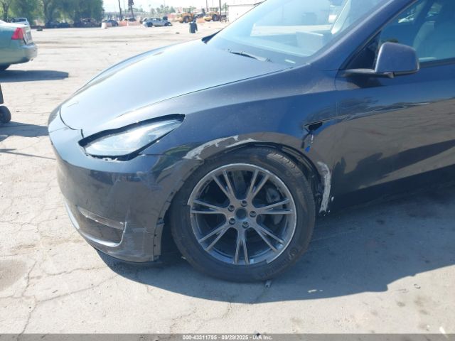 2025 TESLA MODEL Y 7SAYGDEE7SF259263 Photo 5