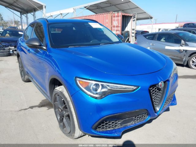 2019 ALFA ROMEO STELVIO ZASPAJAN6K7C70461