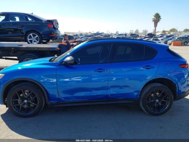 2019 ALFA ROMEO STELVIO ZASPAJAN6K7C70461 Photo 5