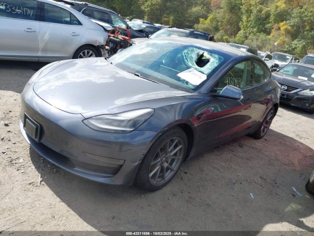 2021 TESLA MODEL 3 5YJ3E1EA0MF922443 Photo 1