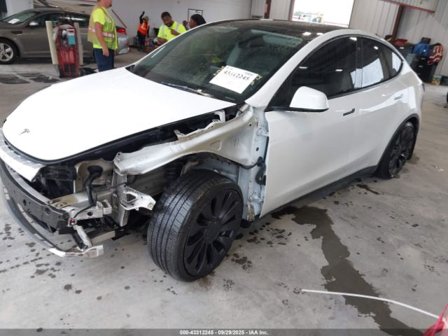 2021 TESLA MODEL Y 5YJYGDEF7MF268781 Photo 1