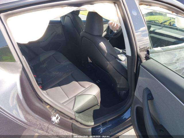 2025 TESLA MODEL 3 5YJ3E1EA0SF986155 Photo 7