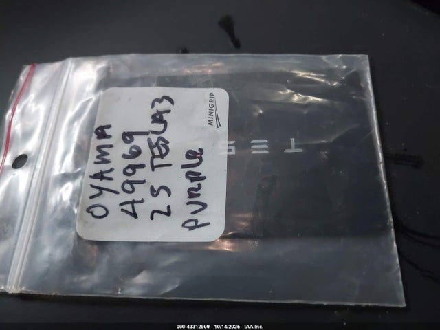 2025 TESLA MODEL 3 5YJ3E1EA0SF044591 Photo 10