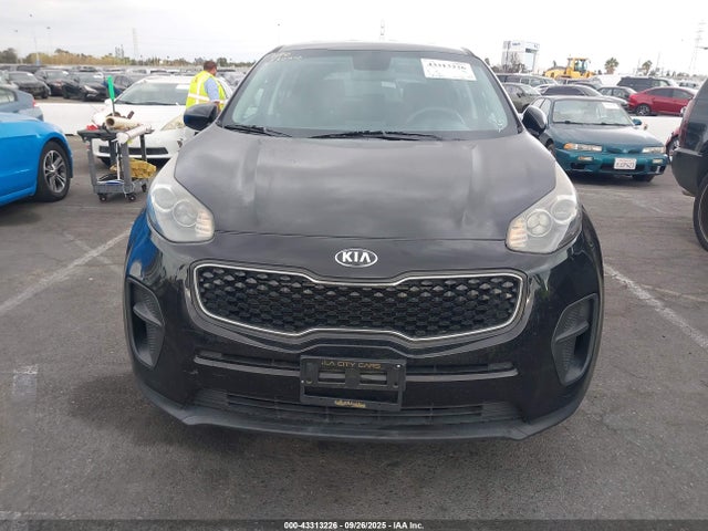 2019 Kia Sportage Lx მანქანა იყიდება აუქციონზე, vin: KNDPM3AC8K7566513, აუქციონის ნომერი: 43313226