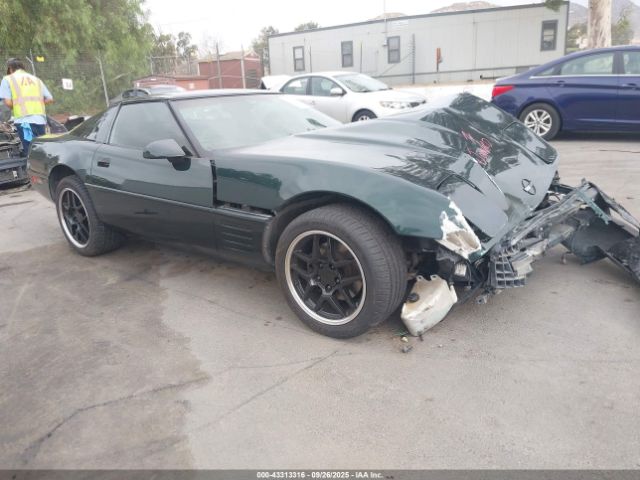 1992 CHEVROLET CORVETTE 1G1YY23P4N5104512