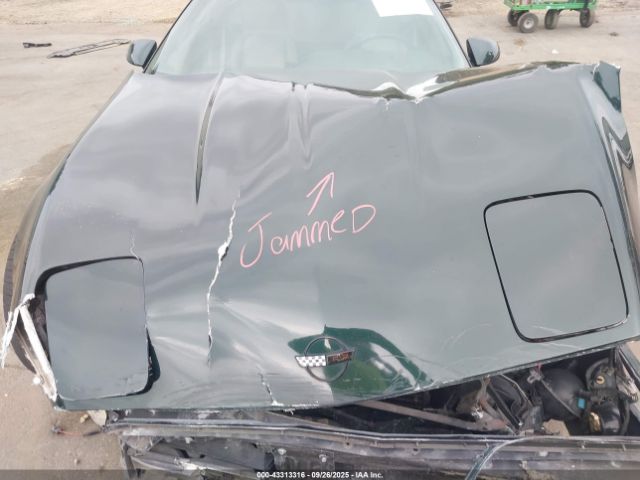 1992 CHEVROLET CORVETTE 1G1YY23P4N5104512 Photo 9