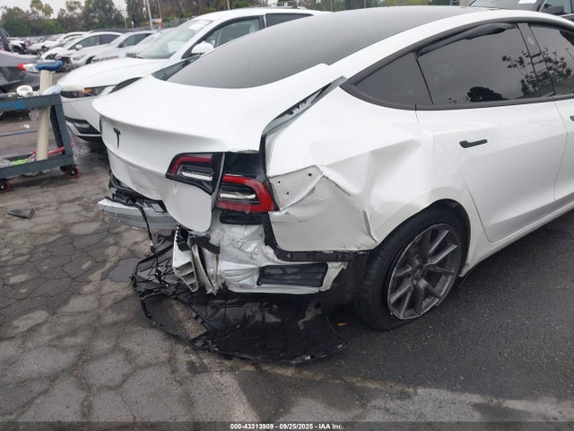 2023 TESLA MODEL 3 5YJ3E1EA8PF483349 Photo 5