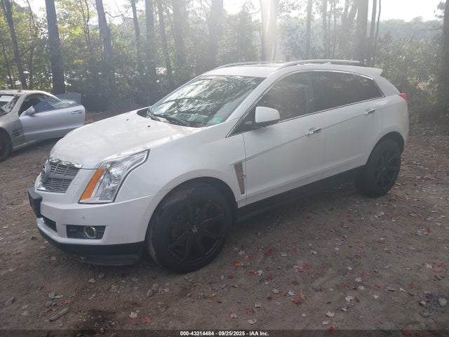 2010 CADILLAC SRX 3GYFNEEY4AS638148 Photo 1