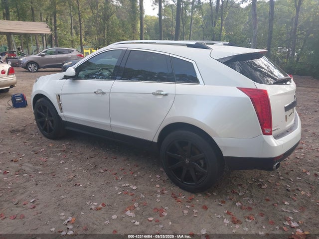 2010 CADILLAC SRX 3GYFNEEY4AS638148 Photo 2