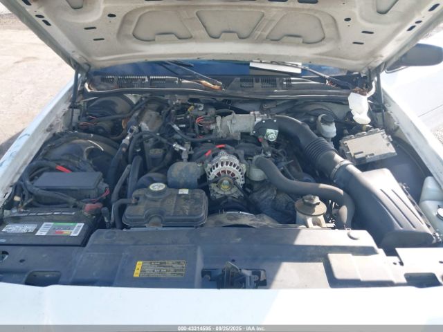 2006 FORD CROWN VICTORIA 2FAHP71W26X133661 Photo 9