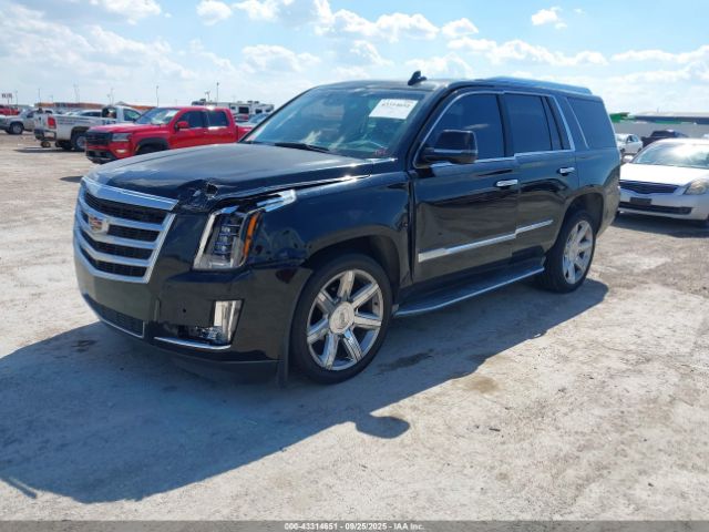 2015 CADILLAC ESCALADE 1GYS4MKJ9FR531500 Photo 1