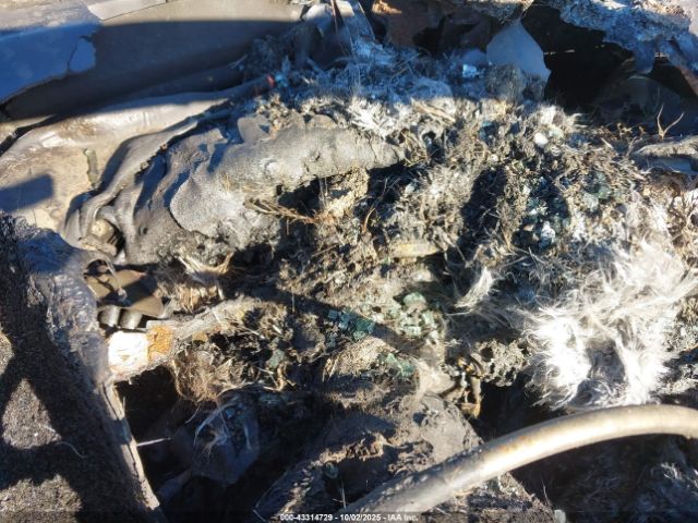 1991 CHEVROLET CORVETTE 1G1YY2388M5116685 Photo 6