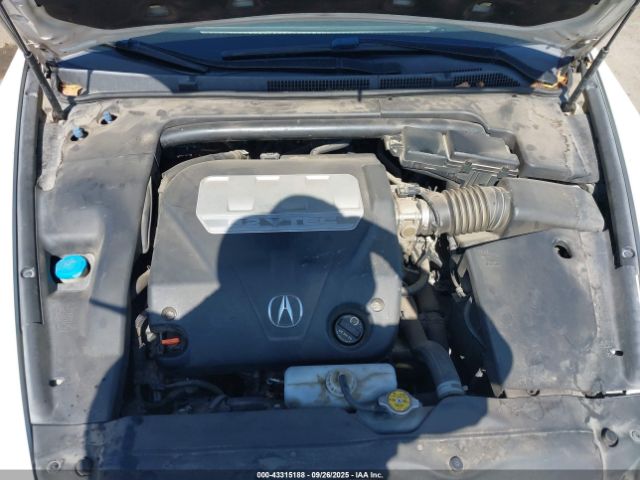 2007 ACURA TL 19UUA66237A019075 Photo 9